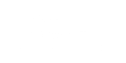 foto matrimonio verona