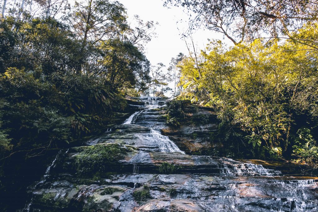 Blue Mountains