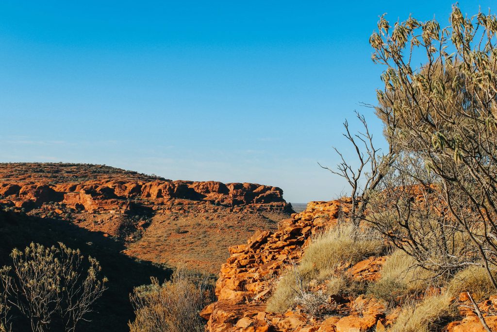 Outback