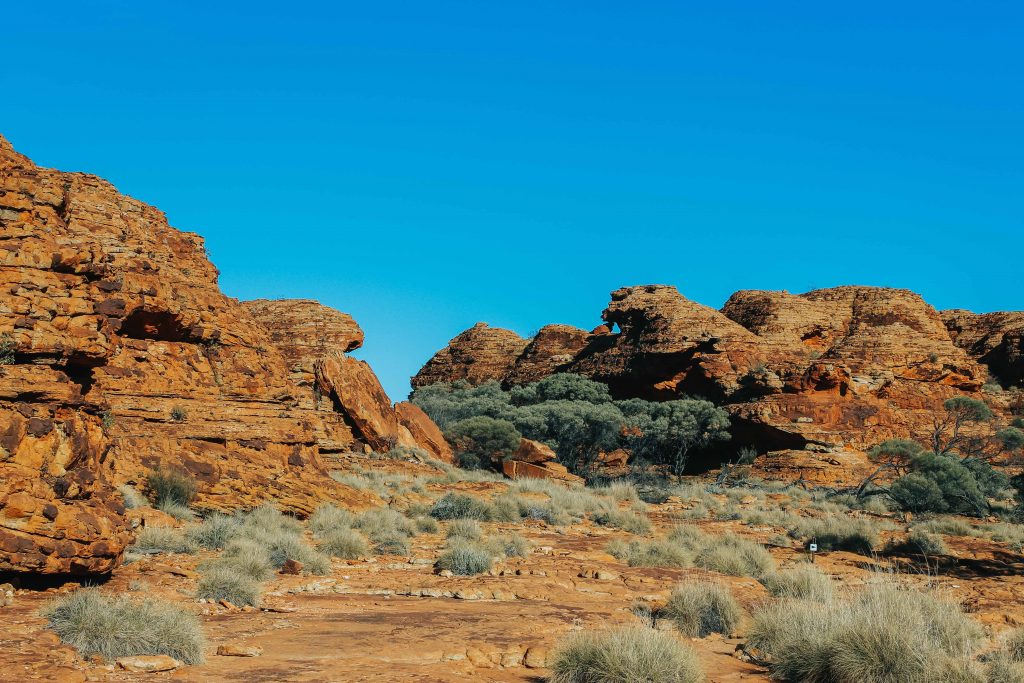 Outback