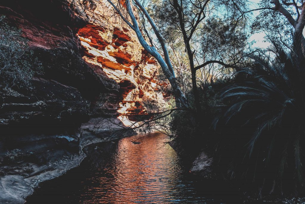 Outback