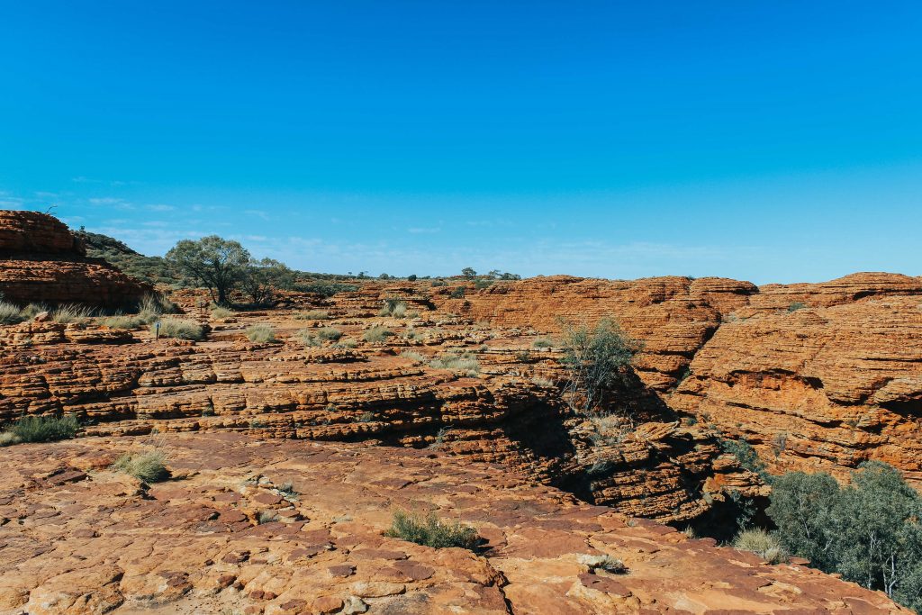 Outback