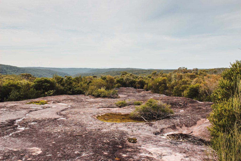 Articolo Australia