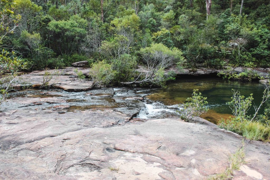 Articolo Australia