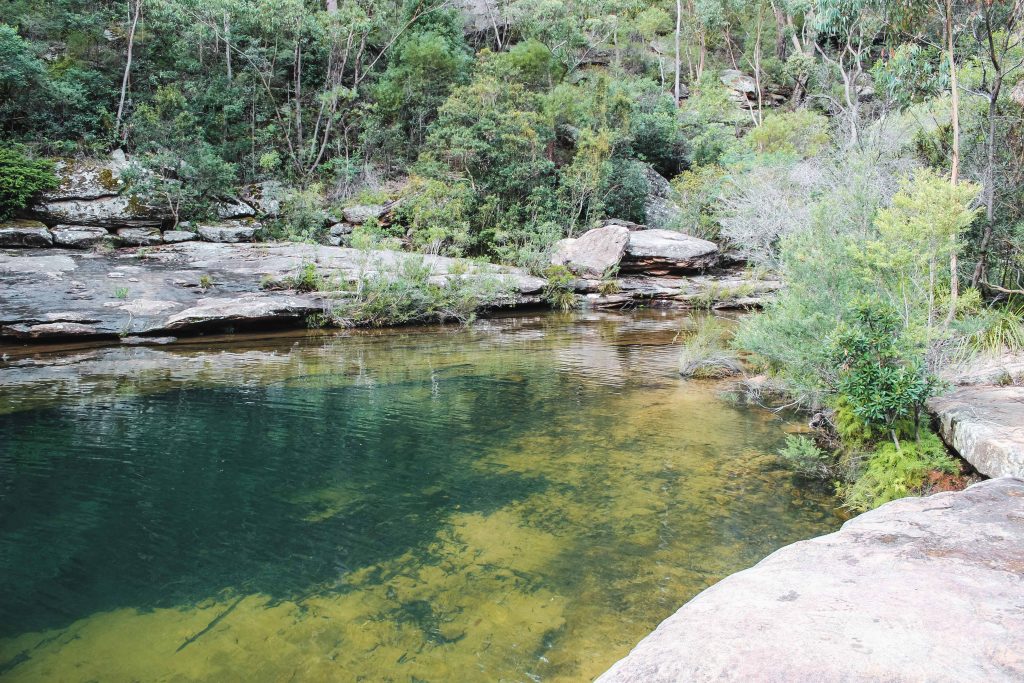 Articolo Australia