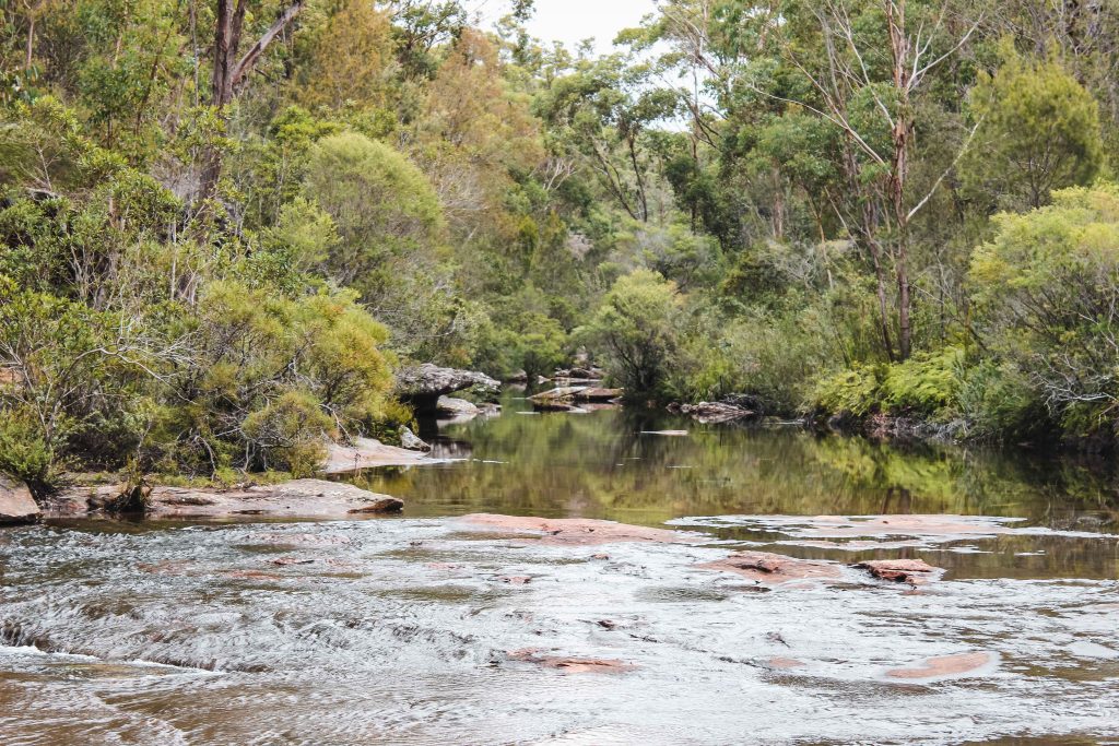 Articolo Australia