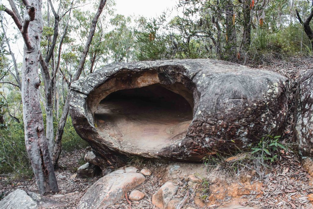Articolo Australia