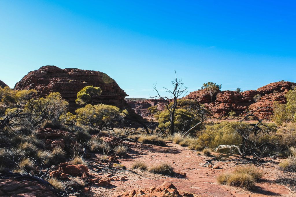 Outback